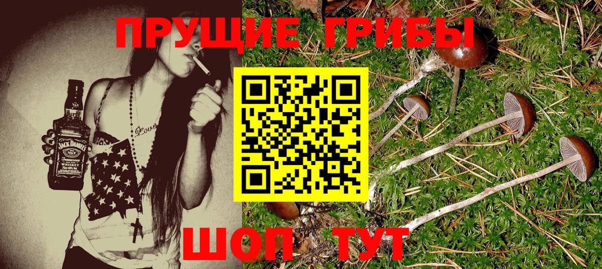 Бугуруслан  Псилоцибиновые грибы Cubensis  магазин продажи   Вход с VPN  Псилоцибиновые грибы GOLDEN TEACHER 
